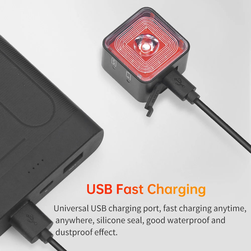 Bicycle Smart Tail Light Rear Light Auto Start Stop Brake IPX6 Waterproof USB Charge Cycling Tail Taillight Bike LED 120LM Zpaxo