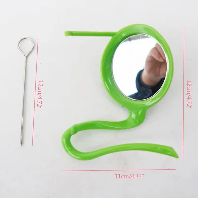Bird Mirror Toy Plastic Perch Stand Parrot Metal Fruit Vegetable