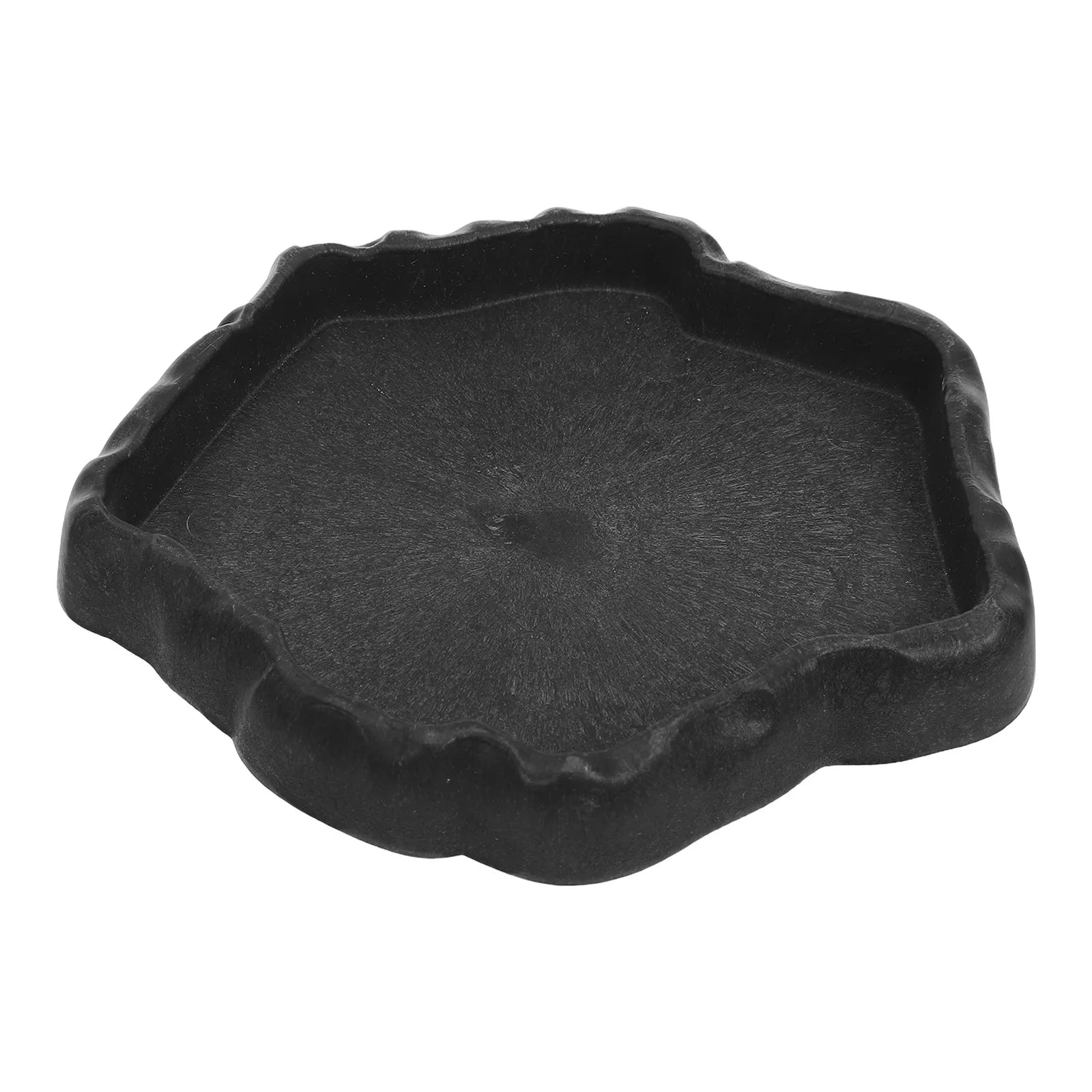 Reptile Feeder Bowl Natural Shallow Stable Base Bearded Dragon Turtle
