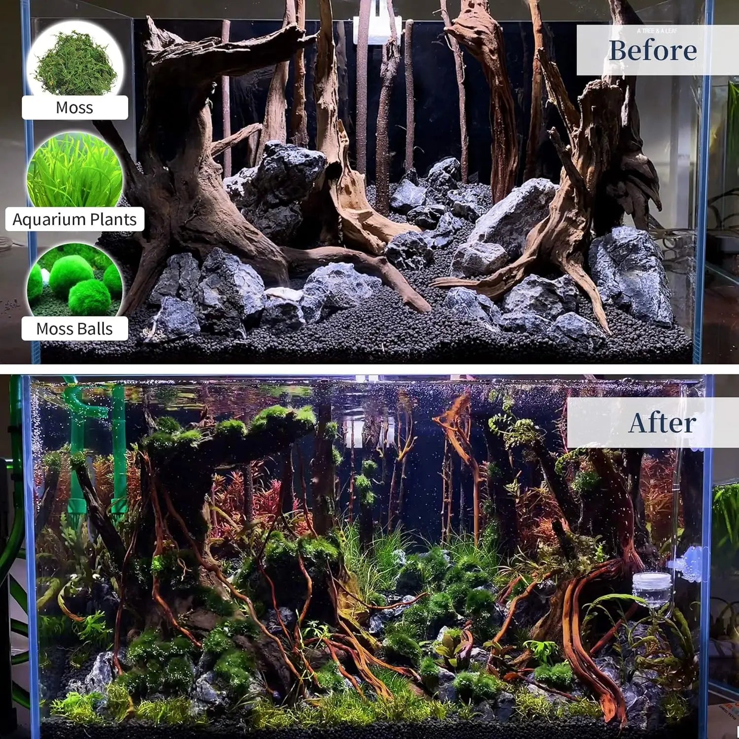 Driftwood for Aquarium,1PC 7-9INCH Large Natural Drift Wood Fish Tank Assorted Branch Decorations for Reptile Hide Zpaxo