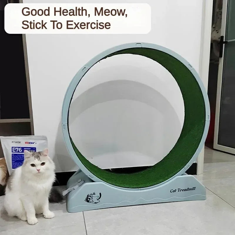 Silent Cat Exercise Wheel – Wear-Resistant Fitness Treadmill