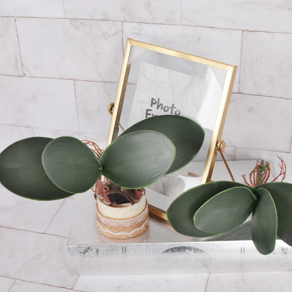 Artificial Phalaenopsis Simulation Moth Orchid Leaf Real-touch Orchid Leaves Flower Plant Home Decoration Landscaping Zpaxo