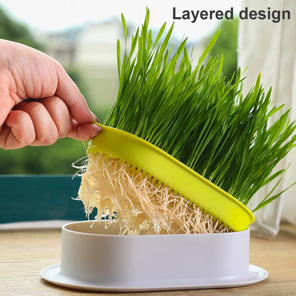 Cat Grass Planter Pet Digestion Growing Tray Box Plastic Nursery