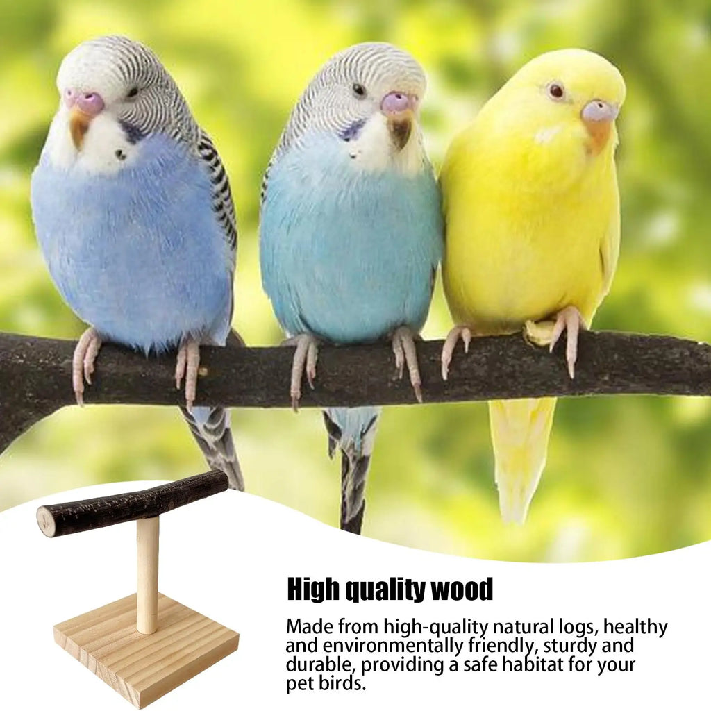 Natural Wood Parrot Perch Stand T Shape Desktop Bird Training Branch