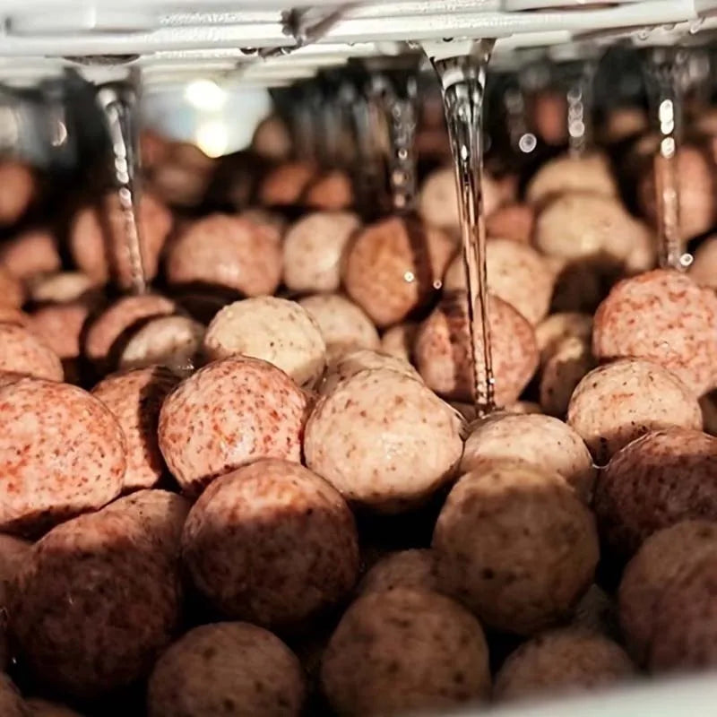 Aquarium Filter Media Hollow Balls 100/200/500G – Bio Filter Aquarium Filter Media Zpaxo