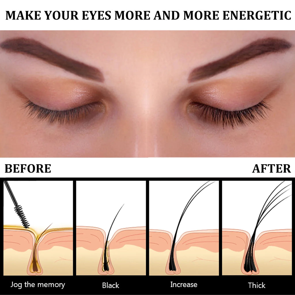 Castor Oil Eyebrow & Eyelash Growth Serum 10ml | Eelhoe Eyebrow Growth Serum Zpaxo