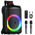 T36 Karaoke Machine 2 Wireless Microphones Big Bluetooth Party