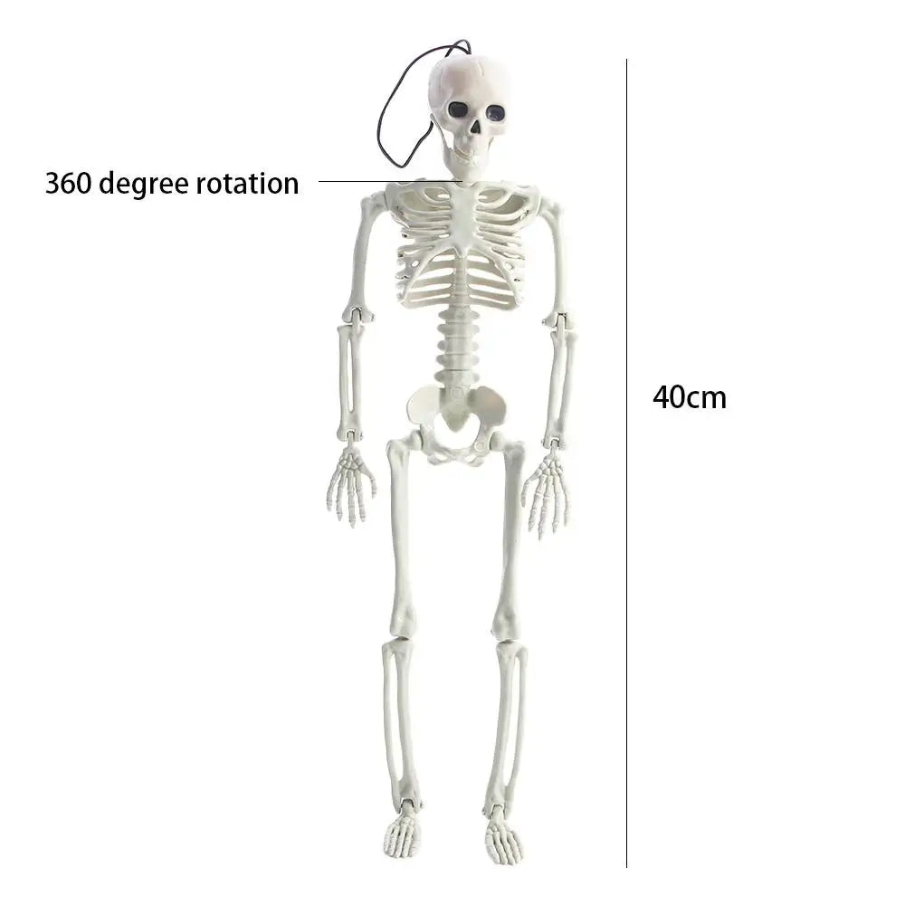 40cm Ornaments Car interior accessories Biology teaching Human Bones Halloween props Car Rearview mirror pendant Skeleton model Zpaxo