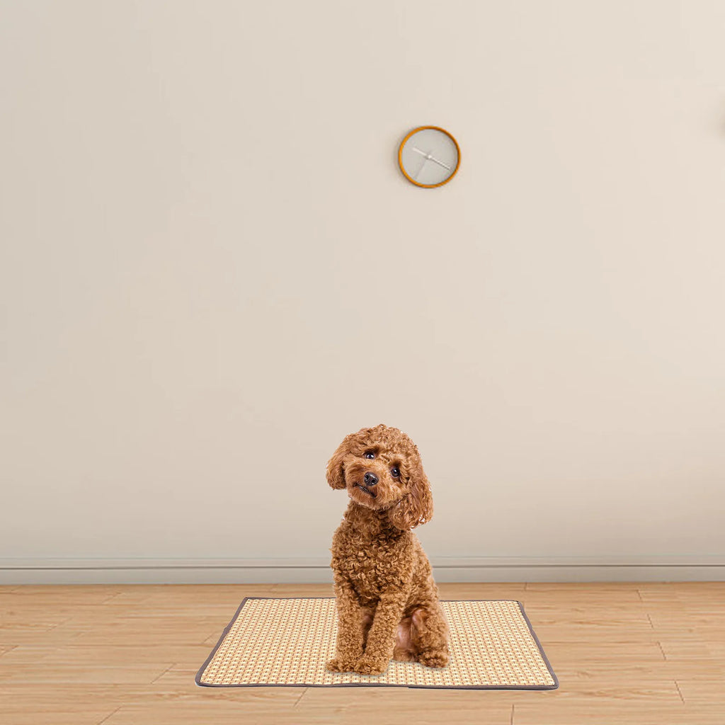 Portable Cooling Rest Mat Dogs Cats Pad Breathable Mesh Surface Pet