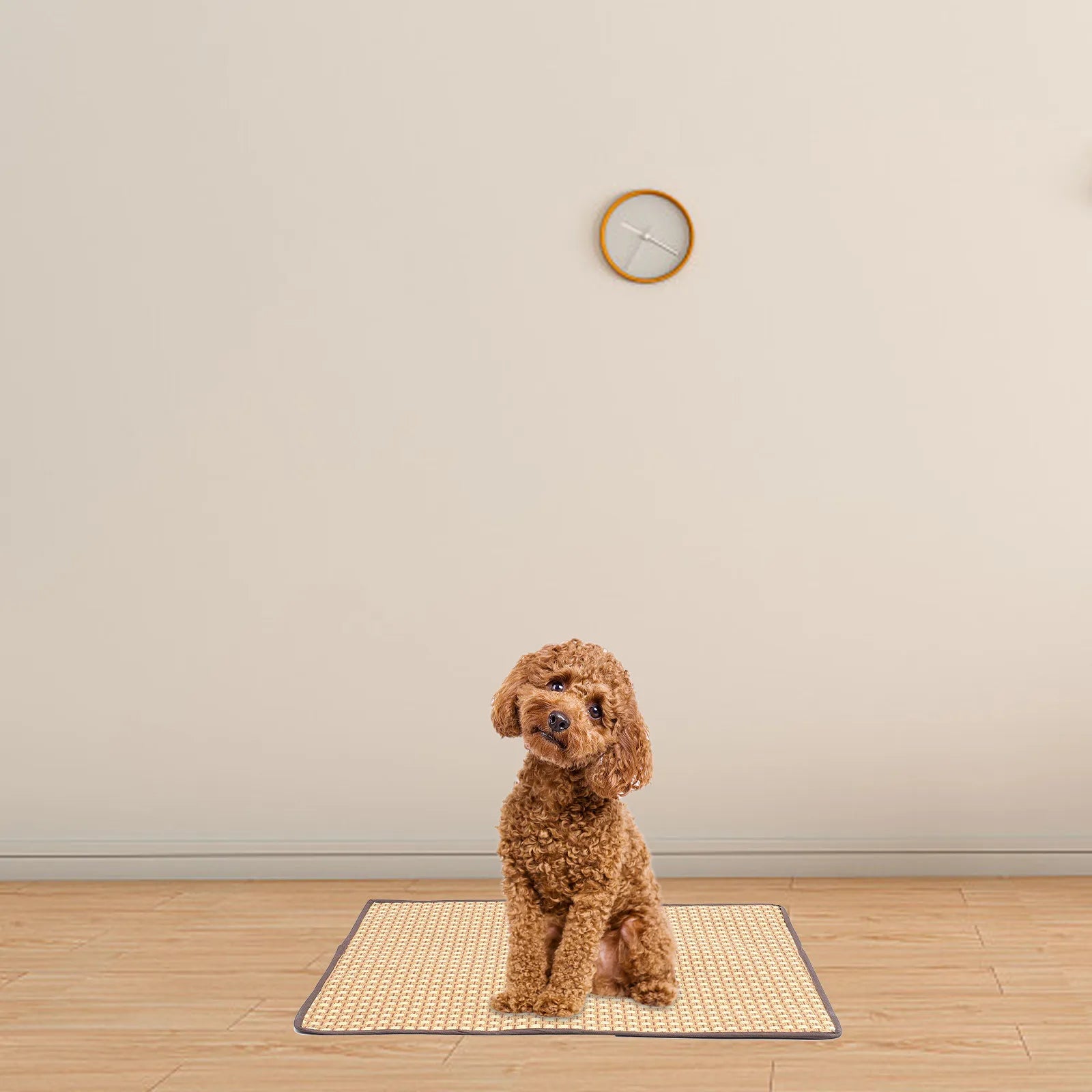 Portable Cooling Rest Mat Dogs Cats Pad Breathable Mesh Surface Pet