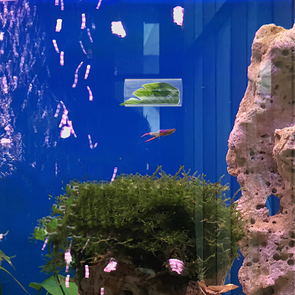 Transparent Betta Fish Tunnel Resting Spawning Hiding Aquarium Shrimp