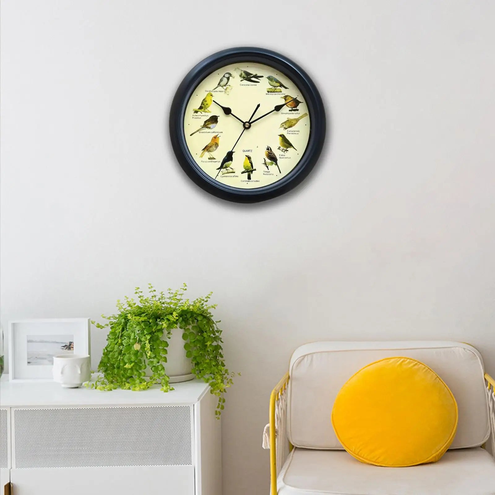 Musical Singing Birds Wall Clock – 12 Bird Calls, 10 Inch Decorative Wall Clock Zpaxo Black 25cm