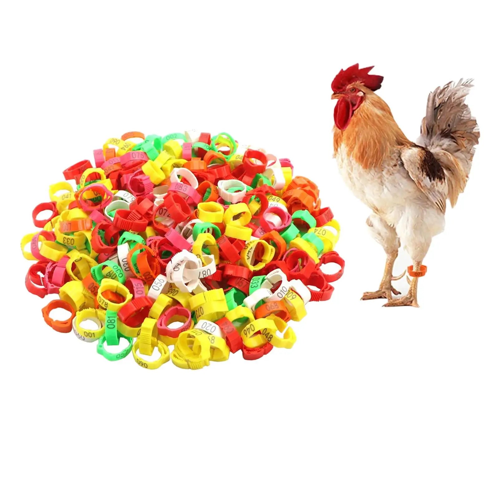 100 Pieces Poultry Foot Rings Foot Label Rings Chicken Marker Tag Poultry Leg Bands for Pigeon Ducks Goose Birds Chickens Zpaxo