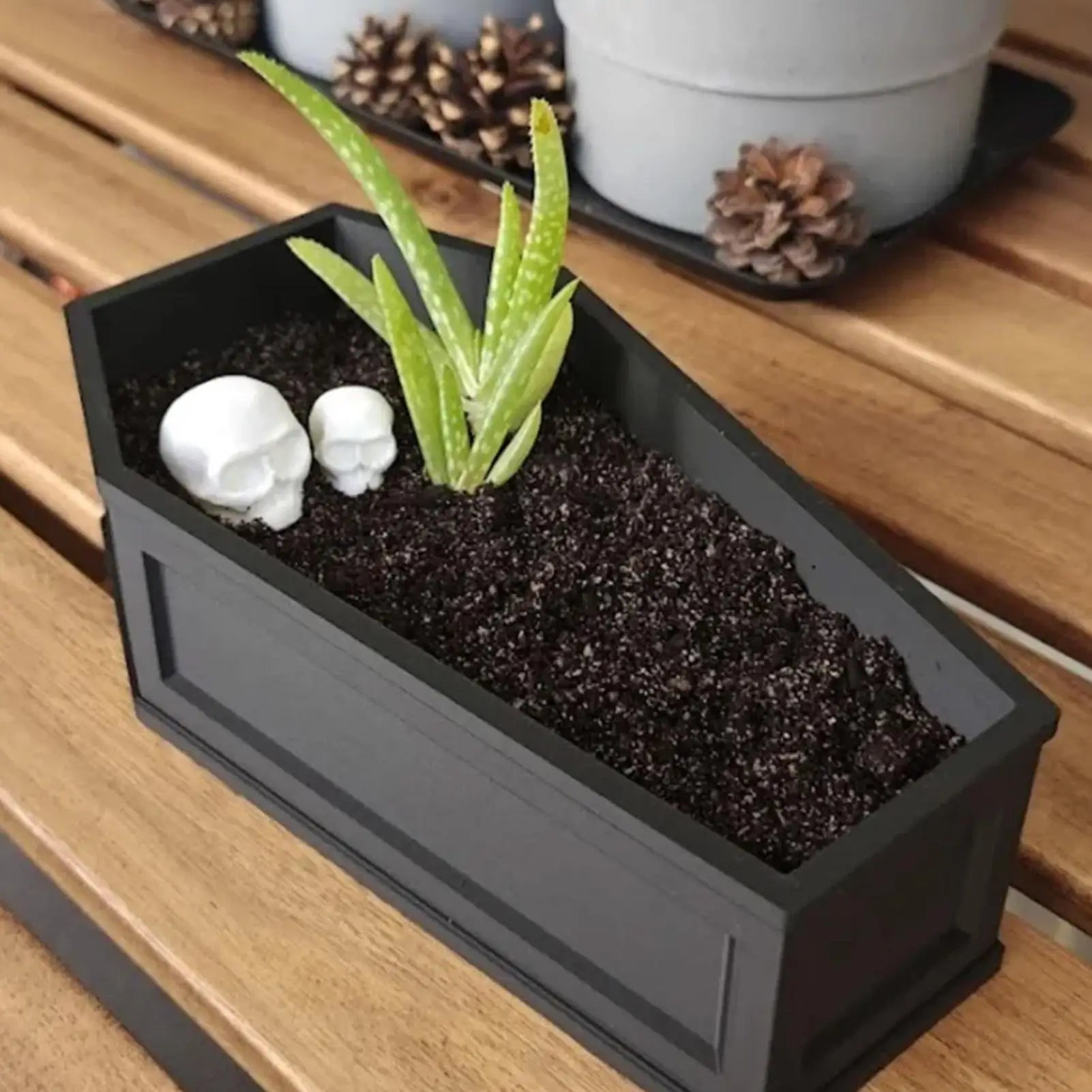 Gothic Planter Spooky Coffin Pot Indoor Container Halloween