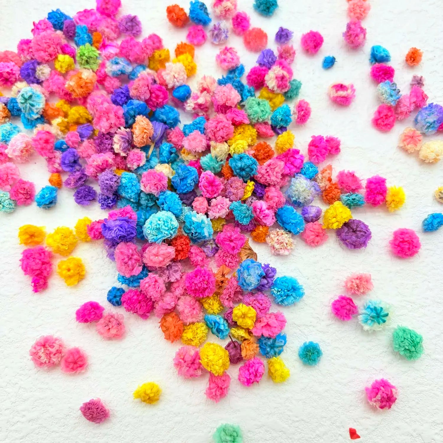 1Bag Flowers for Nail Art Craft Candle Soap Making Wedding Party DIY Epoxy Resin Crafts Home Decoration Mini Pressed Flower Zpaxo