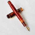 Kaigelu 316 Fountain Pen, Fine Point EF F M, Screw Cap, Calligraphy Practice, Sakura, Aest Zpaxo 316hongseheihua F