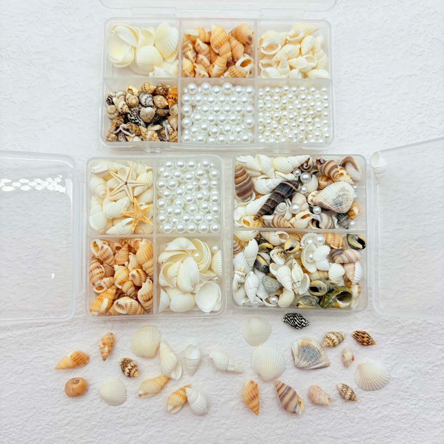Natural Mixed Sea Shells & Pearl Charms – DIY Craft & Decor Shell Craft Charms Zpaxo