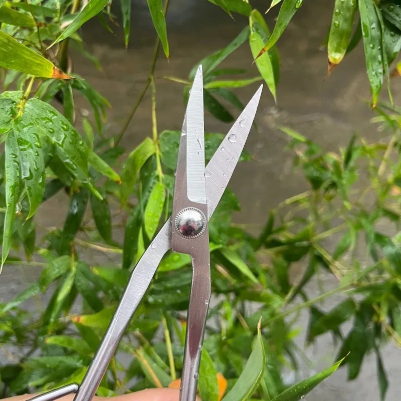 Tender Leaf Scissors Bonsai Tools Branch Scissors Extended Stainless Steel Gardening Scissors Tender Leaf Sprouts Pruning Scisso Zpaxo