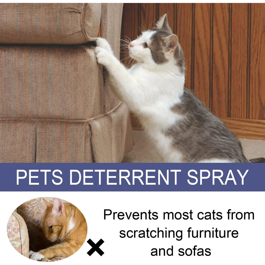 50ml Cat Scratch Deterrent Spray – Natural Citrus Formula