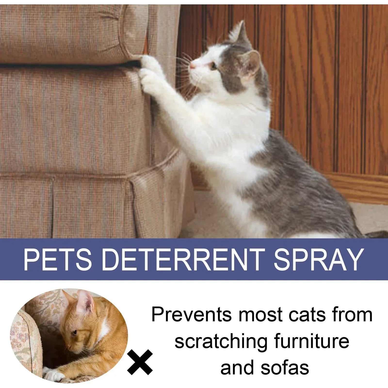 50ml Cat Scratch Deterrent Spray – Natural Citrus Formula