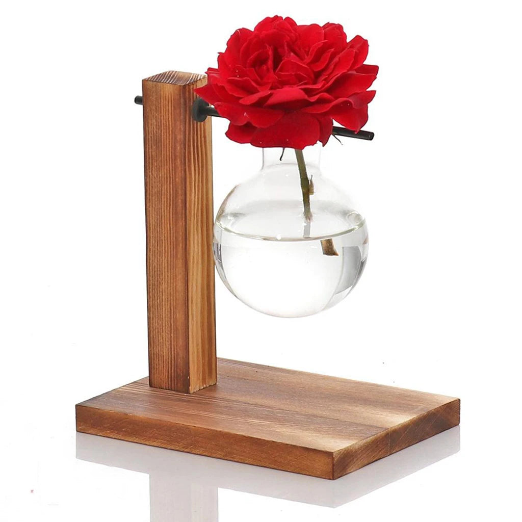 Glass Bulb Vase with Wooden Stand | Hydroponic Desktop Planter Hydroponic Glass Vase Zpaxo