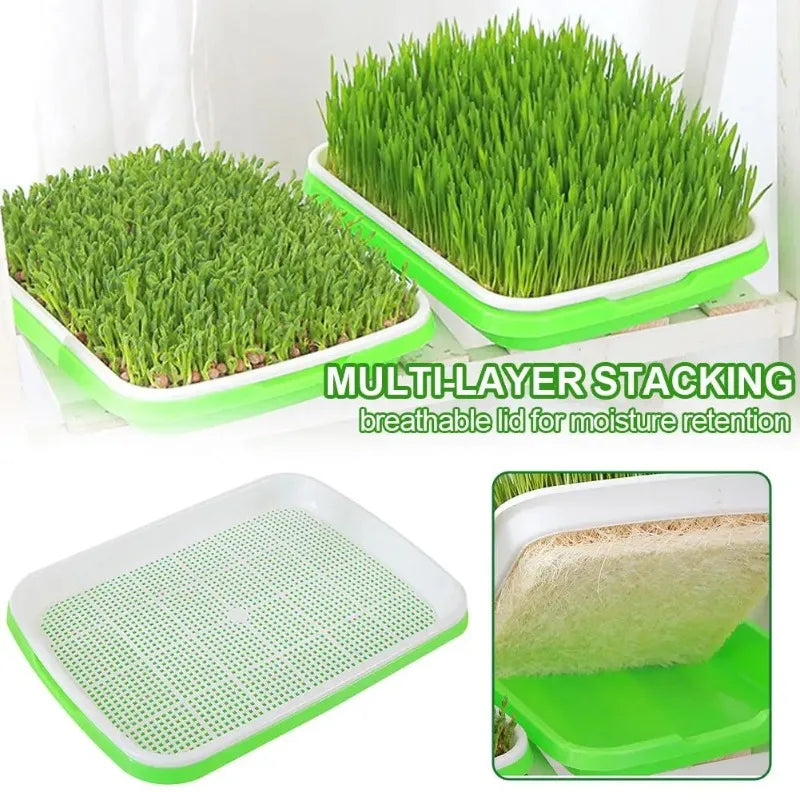 Soilless Planting Seedling Tray,Seed Sprouter Germination Tray for Growing, Bean Sprouts, Cat Grass, Wheat Grass, Mung Beans Zpaxo