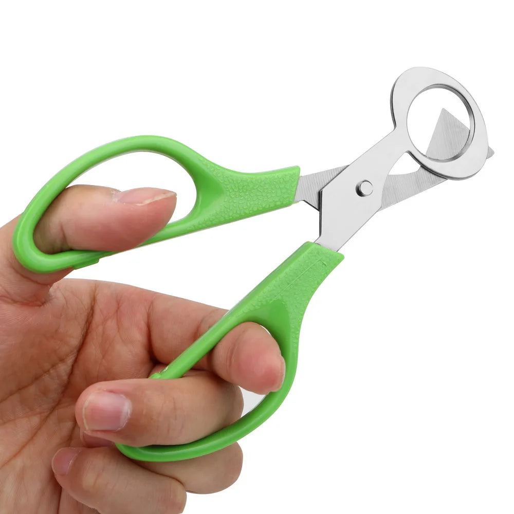 Cigar Cutters Egg Tools Quail Shell Scissors Rust Resistant Stainless