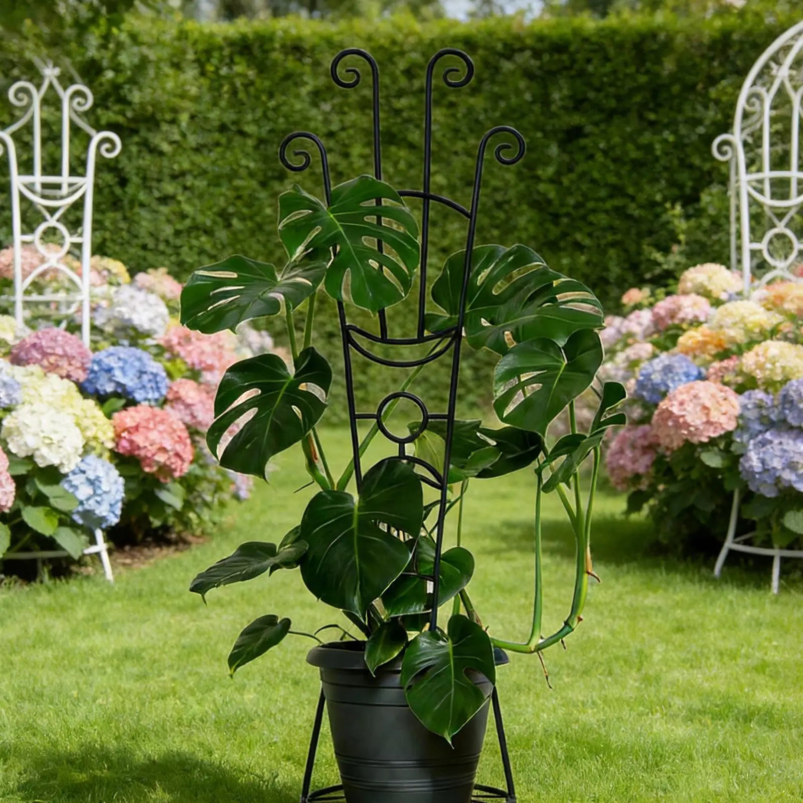 Plant Trellis Metal Plant Support Pothos Support Stakes for Indoor Outdoor Garden Balcony Pothos Monstera Ivy Clematis Gardening Zpaxo