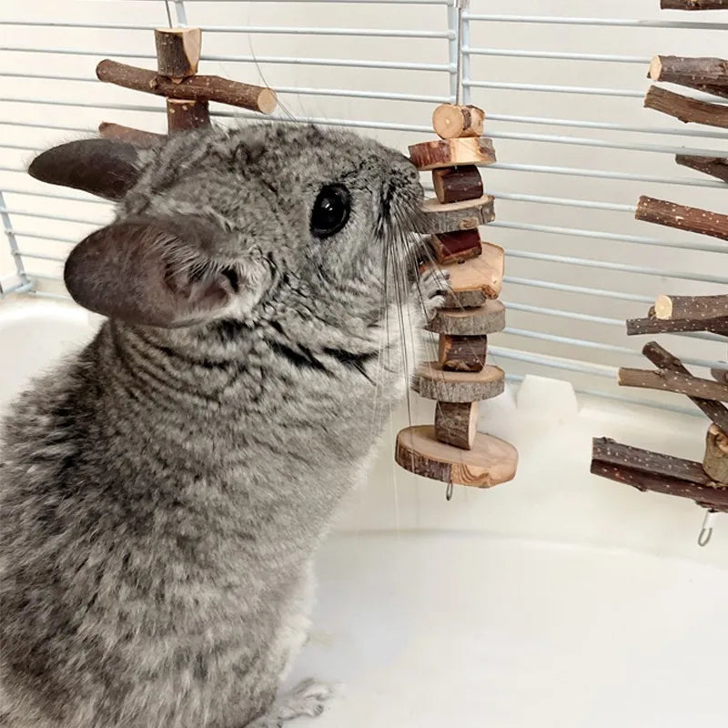Hamster rabbit gnawing on wooden molars apple branches skewers Totoro guinea pig molars skewers grass balls grass cakes Zpaxo