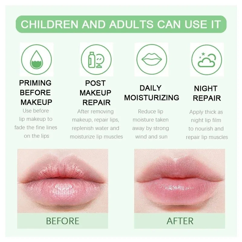 18 Flavors Fruit Lip Balm Oil Moisturizing Long-lasting Gloss Clear
