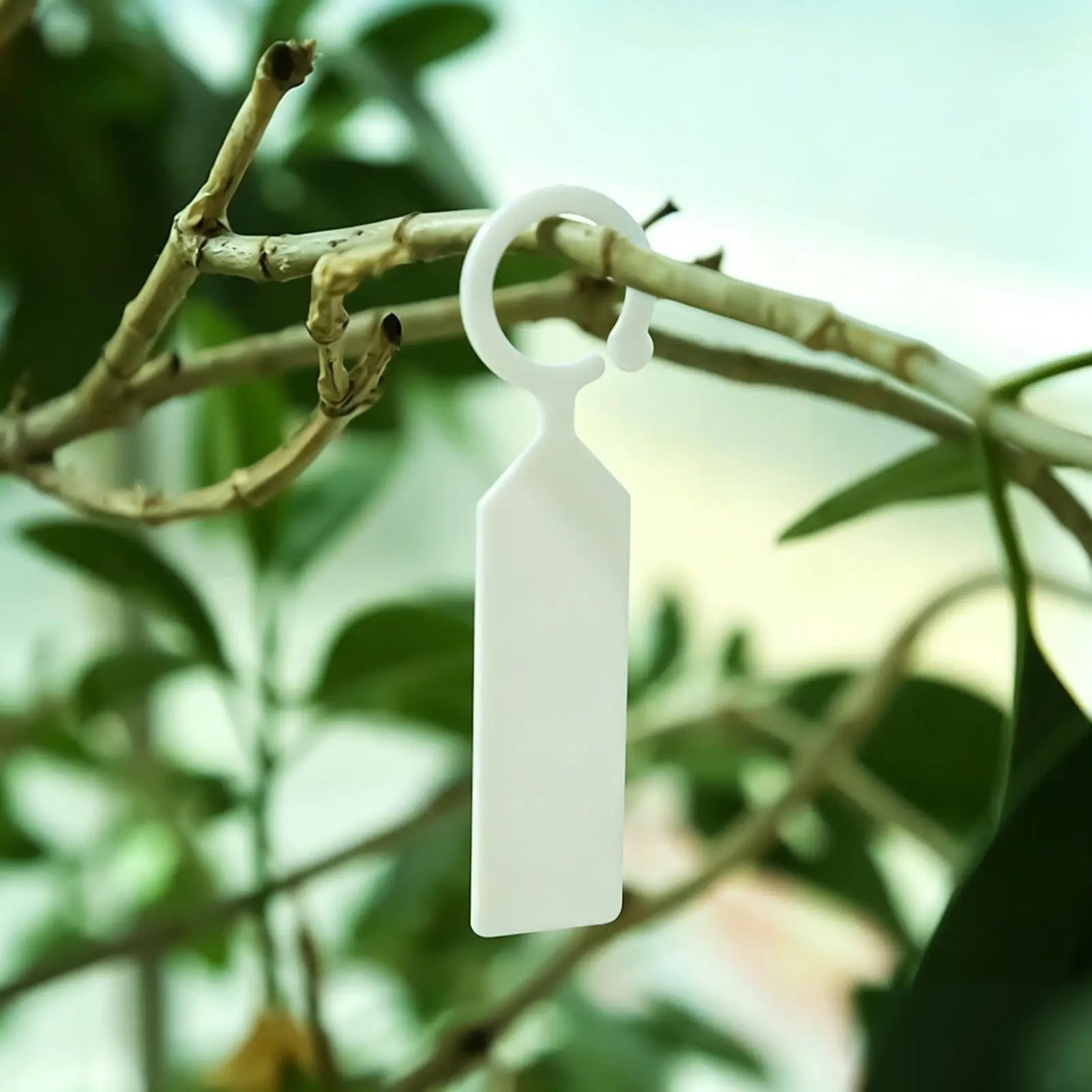 Garden Labels Waterproof Thick Plastic Plant Tags Colorful Hanging Zpaxo