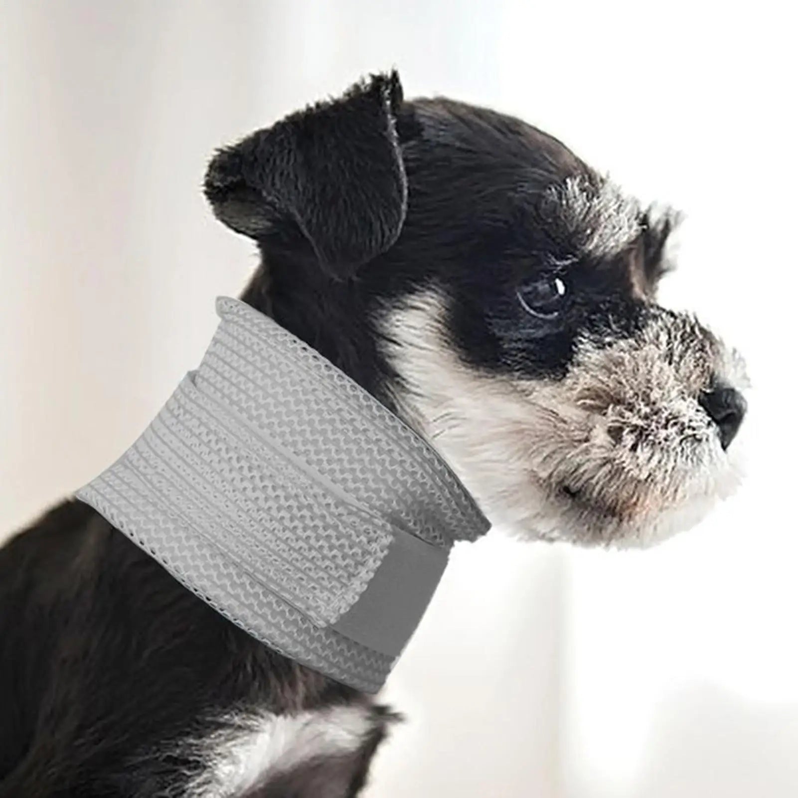 Breathable Cat & Dog Recovery Cone Collar | Adjustable Neck Brace Pet Recovery Collar Zpaxo