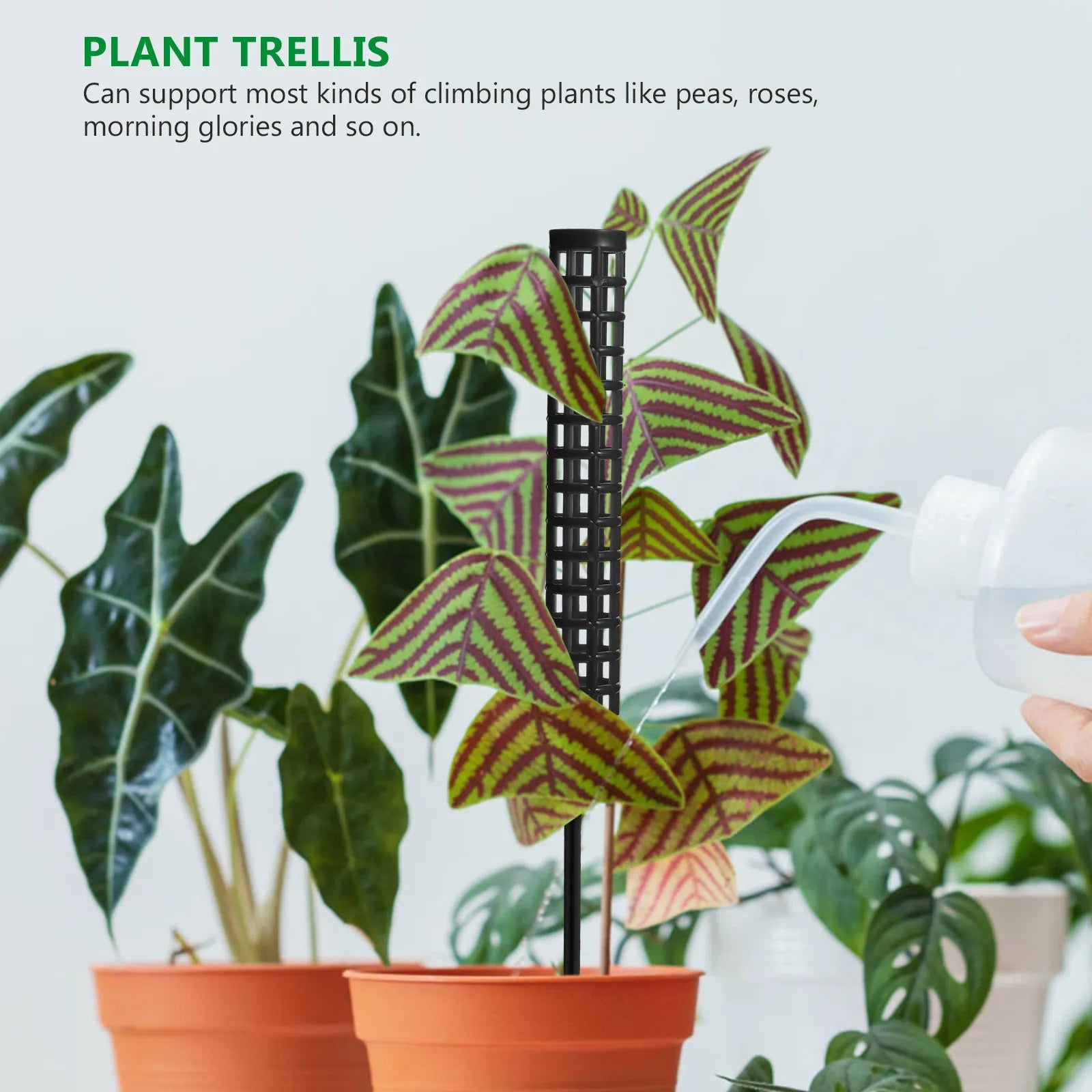 1Set Moss Pole Plant Support Column Plastic Hard Stable Trellis for Climbing Plants Indoor Vine Peas Roses Moss Pole Zpaxo