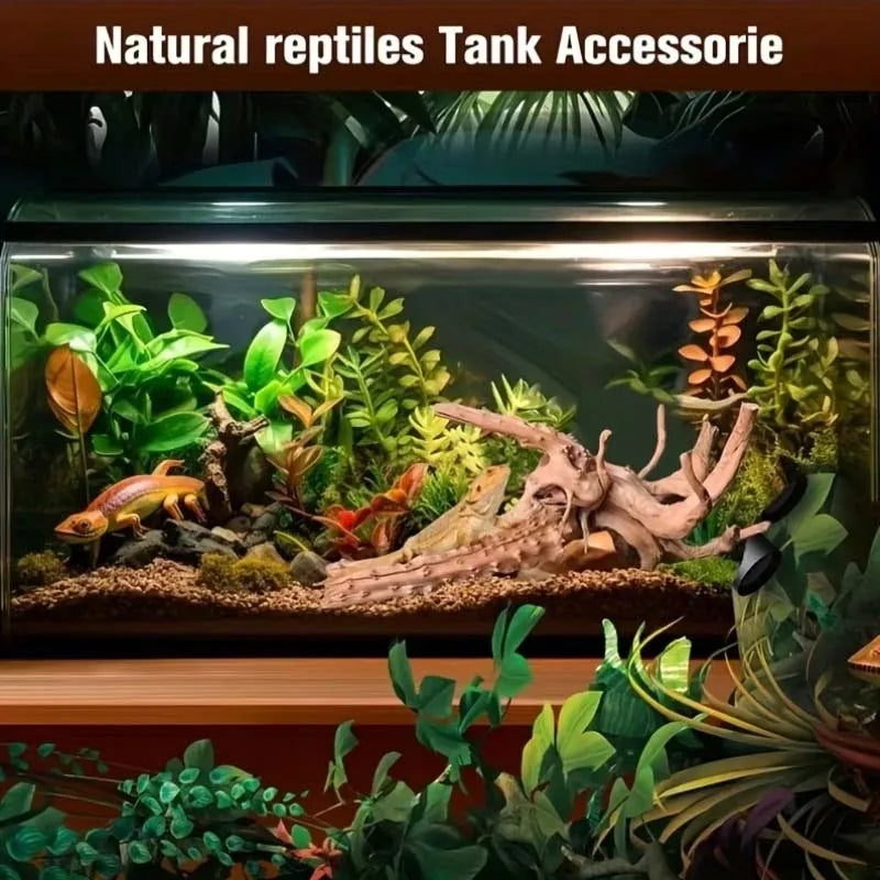 Set of 4 Large Natural Roots for Aquarium Decor - Authentic Wooden Fish Tank Ornaments & Habitats-Coral Wood Additions for Fish Zpaxo