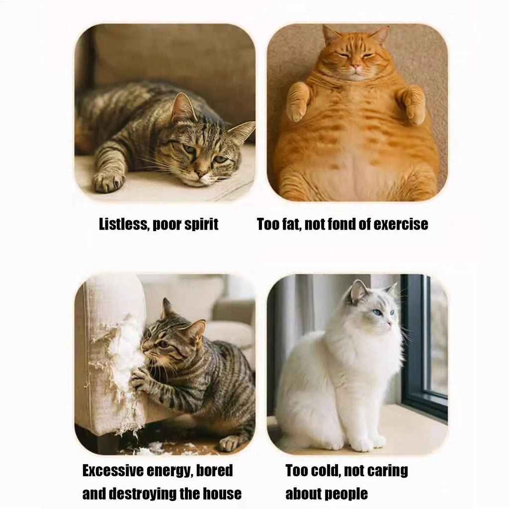 Cat Enrichment Toys Interactive Cat Toy Puzzle Games Felt Pet Supplies with Bell Kitten Accessories Maze Game for Enrichment Zpaxo