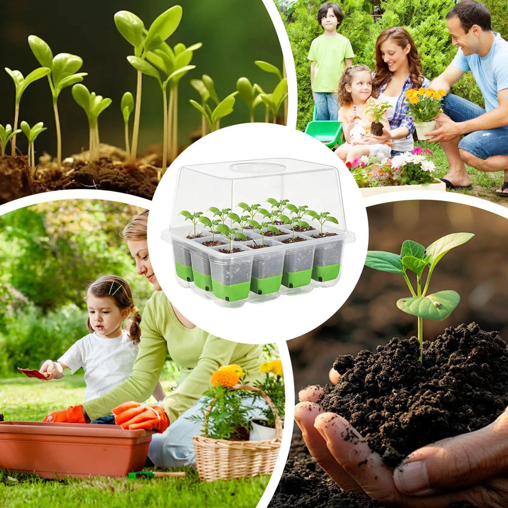 12-Cell Seedling Starter Tray with Humidity Dome | Indoor Germination Seedling Starter Tray Zpaxo