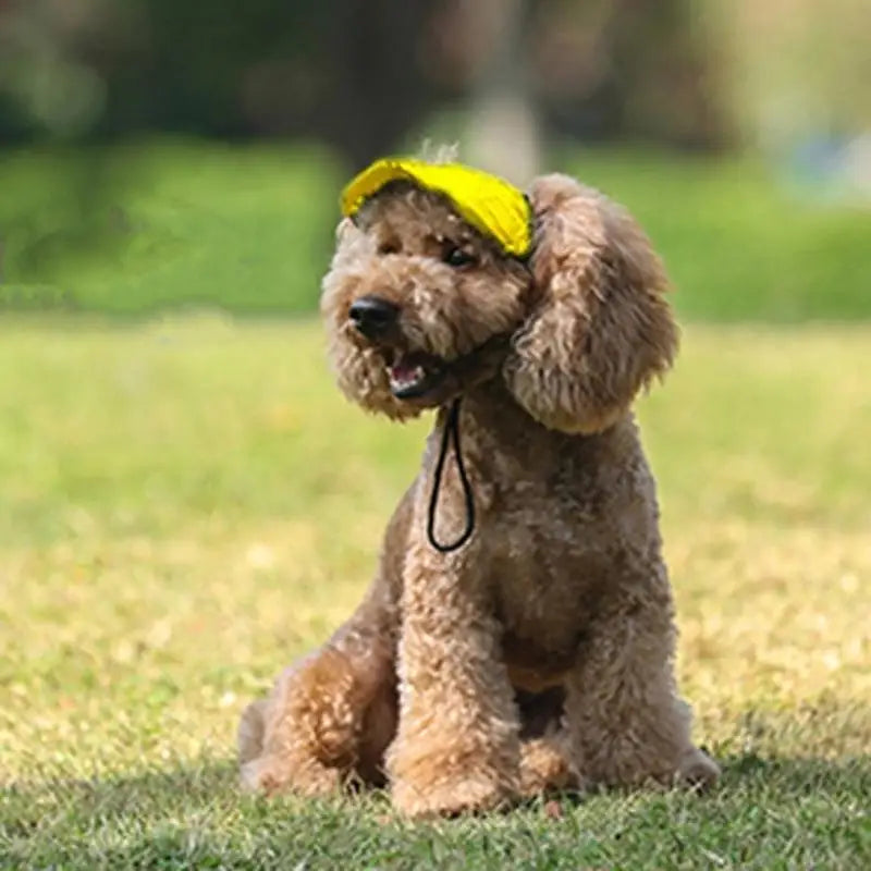 Stylish Dog Cap 4 Size Available Breathable Design Pet Sun Hat For Daily Walks And Play Beach Zpaxo
