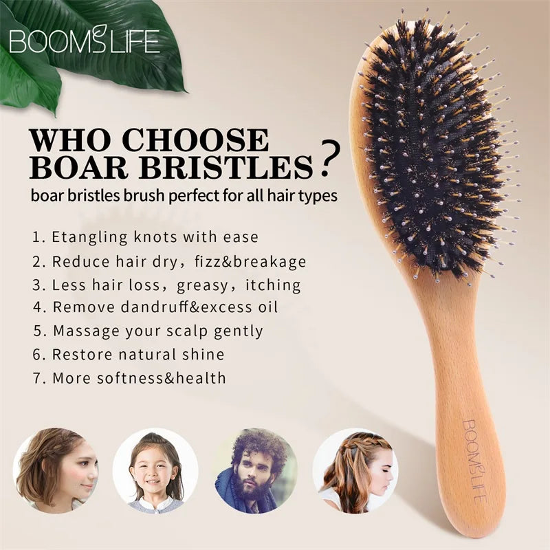 Natural Boar Bristle Hair Brush Women Wood HairBrush Anti-Static Hair Comb for Wet and Dry Comb Hair Barber Accessories Zpaxo