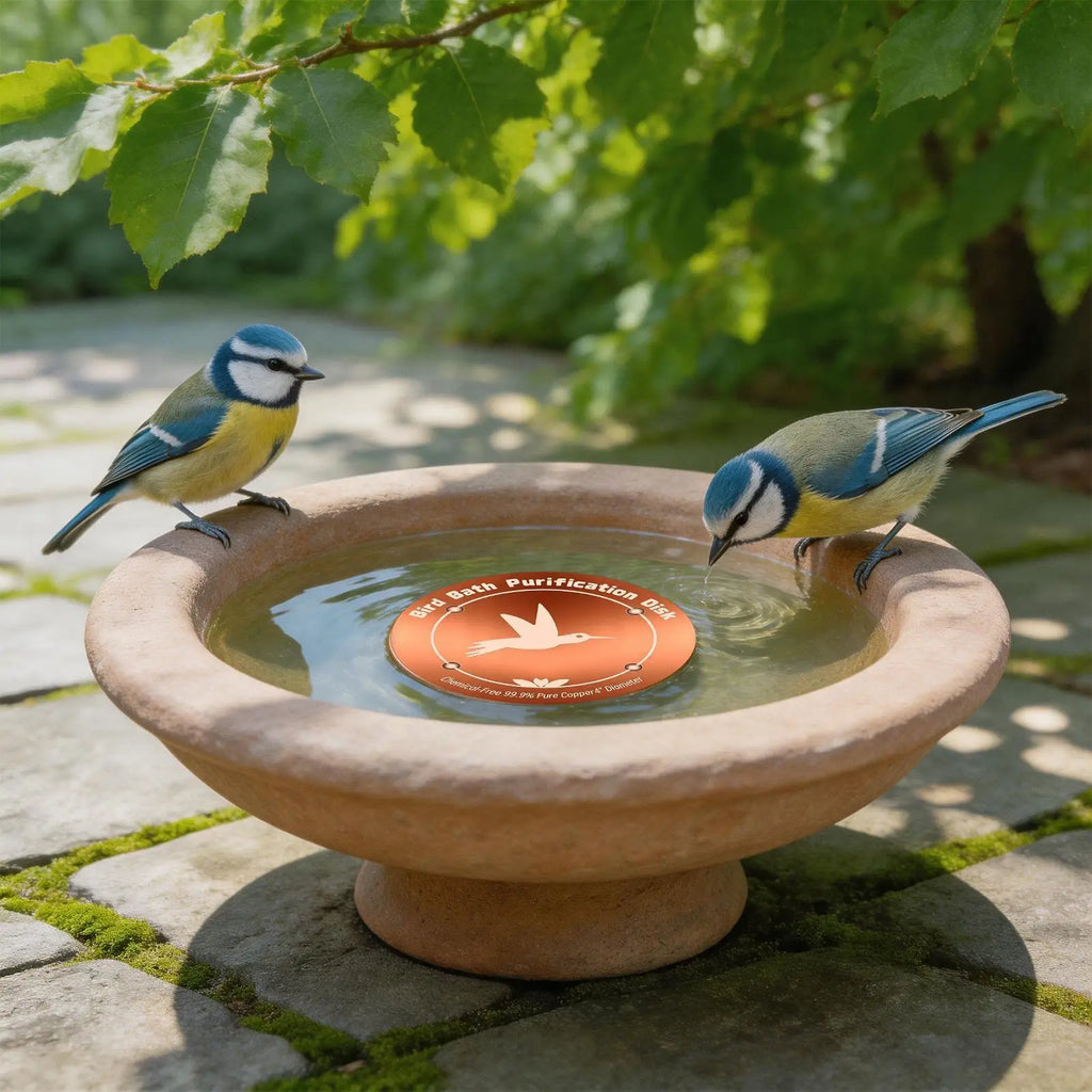 Bird Bath Copper Birdbath Purifier Triple-point Support Disk Zpaxo