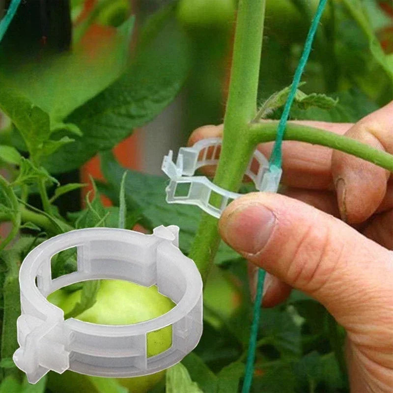 Hot Plant Clips Supports Reusable Plastic Connects Fixing Vine Tomato Stem Grafting Vegetable Plants Orchard and Garden Tools Zpaxo