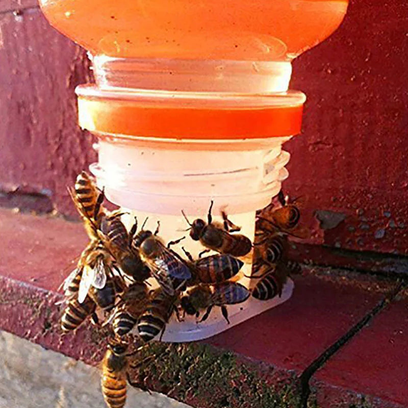 5 Bee Drinker Needle Hole Feeder Anti Drowning Drinking Equipment
