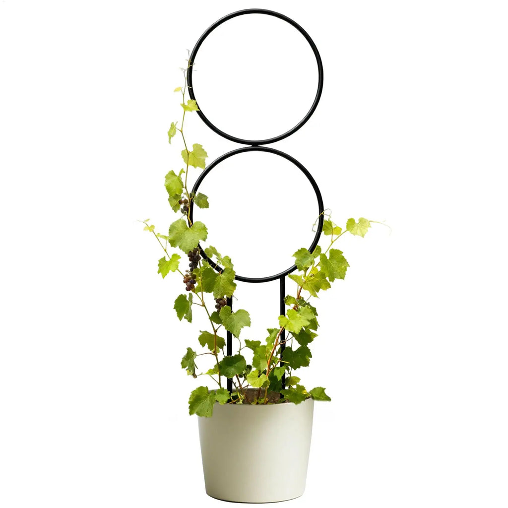 Metal Plant Trellis – Adjustable Support Stake Indoor & Outdoor Plant Trellis Zpaxo