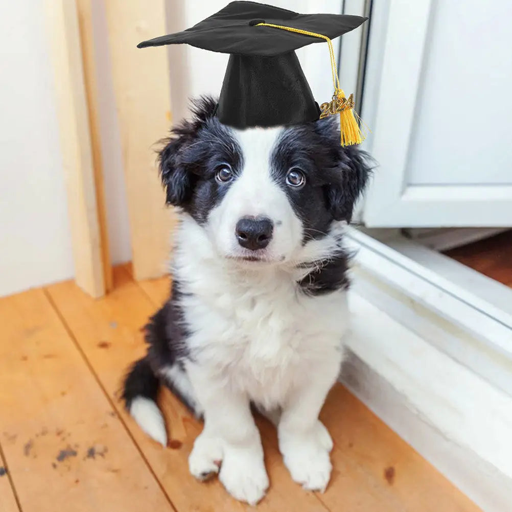 Pet Graduation Cap Dog Cat Puppy Hat Tassel Adjustable Costume Party