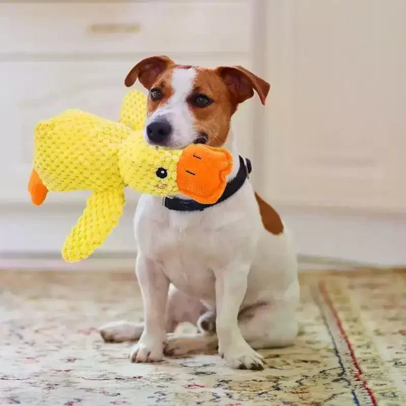 Tough Dog Toys Squeaky Plush Small Dogs Indestructible Chew Large Zpaxo