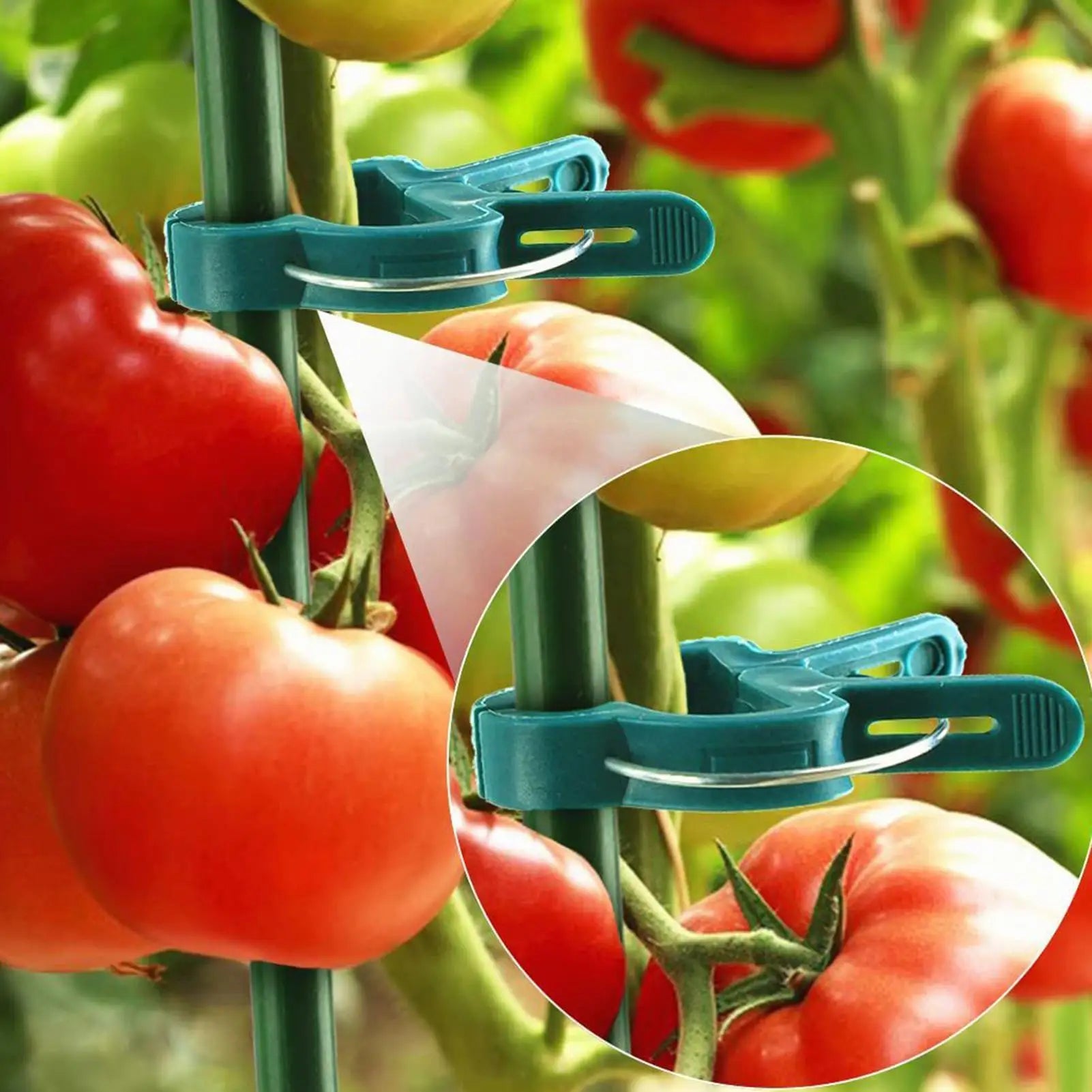 20-Pack Reusable Plant Clips – Tomato, Vine & Flower Support Plant Support Clips Zpaxo