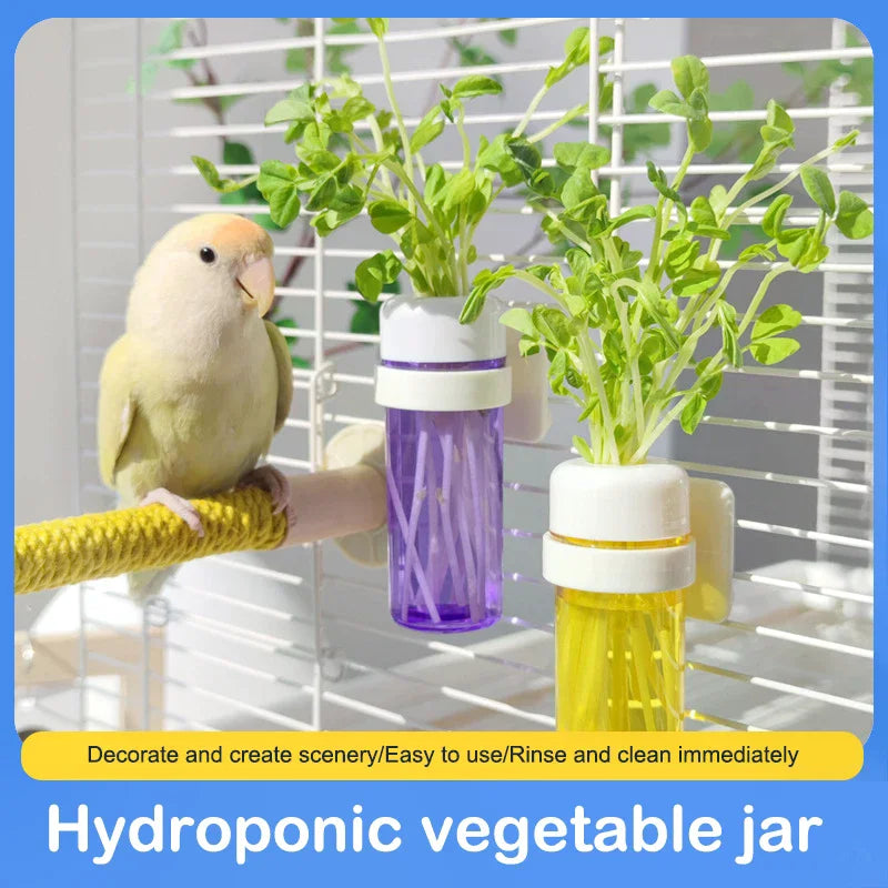 Supplies Bird Parrot Feeder Cage Vegetable Holder Preservation Jar Zpaxo