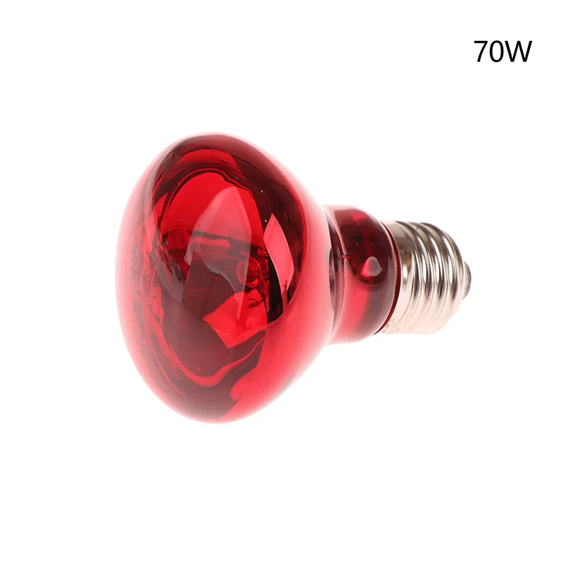 CME27 UVA Poultry Bulb Infrared Night Light Day Heating Plants Zpaxo 75W