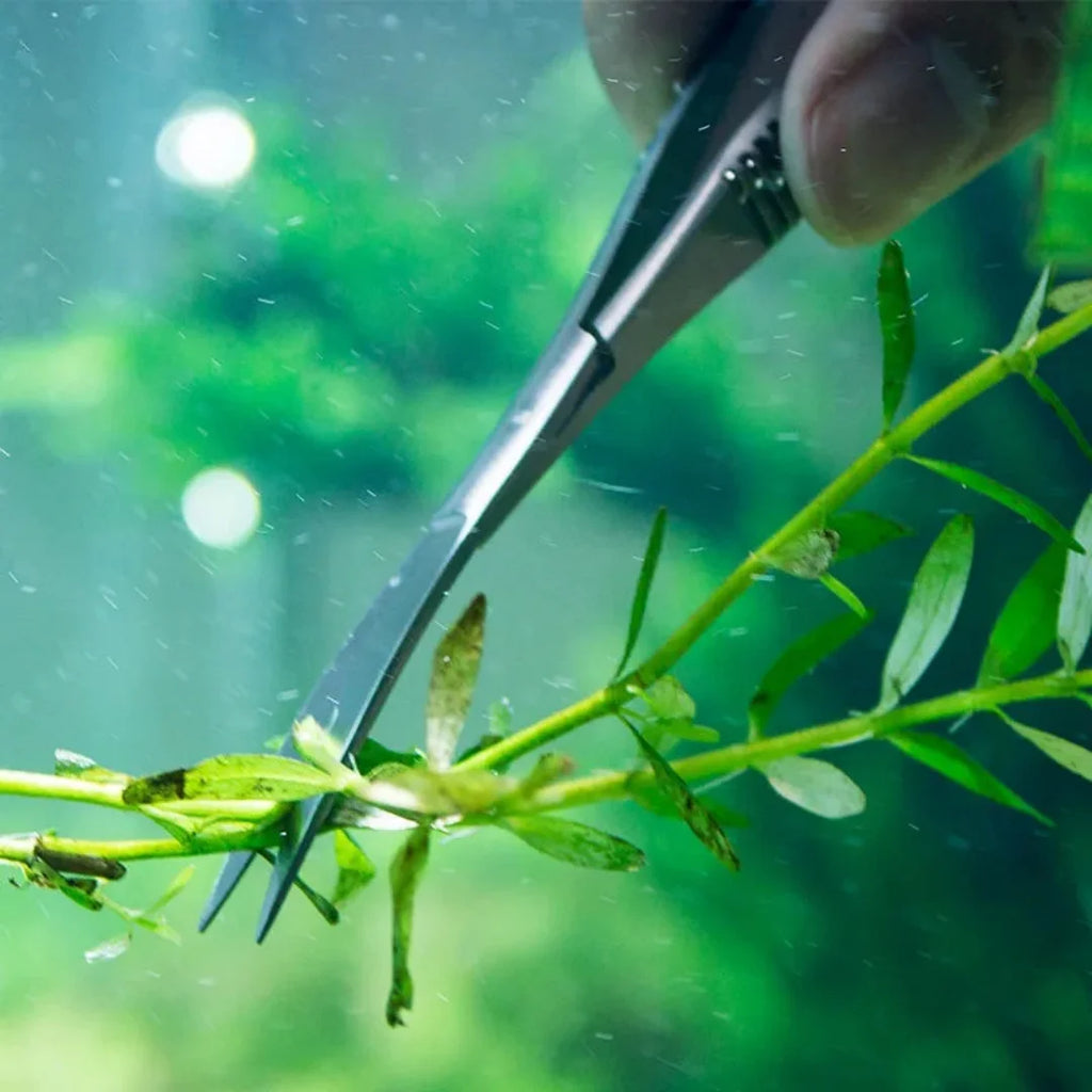 Curved Straight Spring Scissor Aquarium Aquascaping Plant Tools