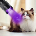 395nm UV Black Light Flashlight – Pet Stain & Scorpion Detector