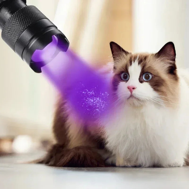 395nm UV Black Light Flashlight – Pet Stain & Scorpion Detector